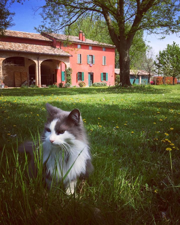 B&B Podere Merlo Parma Dış mekan fotoğraf